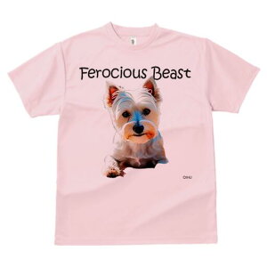 EGXgnChzCgeA TVc  j[NfUCY LbY t@  t vg lJWA 킢 lԗp Mtg I ҏ΍ EGXgnCh