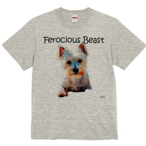 EGXgnChzCgeA TVc  j[NfUCfB[X t@  t vg lJWA 킢 lԗp Mtg I ҏ΍ EGXgnChz