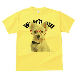 EGXgnChzCgeA TVc  j[NfUCY LbY t@  t vg lJWA 킢 lԗp Mtg I ҏ΍ Kl EGXgn