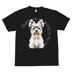 EGXgnChzCgeA TVc  j[NfUCfB[X t@  t vg lJWA 킢 lԗp Mtg I ҏ΍ Kl EGXgnC