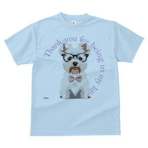 EGXgnChzCgeA TVc  j[NfUCY LbY t@  t vg lJWA 킢 lԗp Mtg I ҏ΍ Kl EGXgn