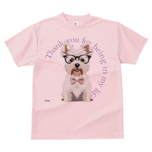 EGXgnChzCgeA TVc  j[NfUCY LbY t@  t vg lJWA 킢 lԗp Mtg I ҏ΍ Kl EGXgn