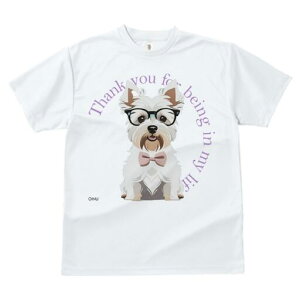 EGXgnChzCgeA TVc  j[NfUCfB[X t@  t vg lJWA 킢 lԗp Mtg I ҏ΍ Kl EGXgnC