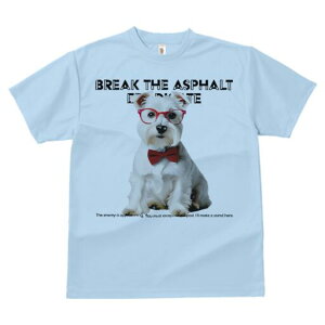 ~j`AViEU[ TVc  j[NfUCfB[X t@  t vg lJWA 킢 lԗp Mtg I ҏ΍ Kl ~j`AViEU[ 