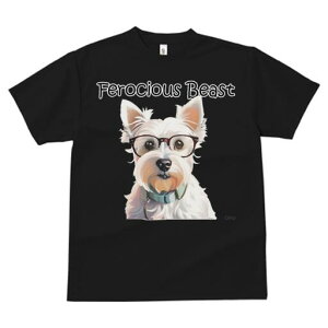 EGXgnChzCgeA TVc  j[NfUCfB[X t@  t vg lJWA 킢 lԗp Mtg I ҏ΍ Kl EGXgnC