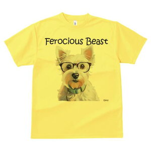 EGXgnChzCgeA TVc  j[NfUCY LbY t@  t vg lJWA 킢 lԗp Mtg I ҏ΍ Kl EGXgn