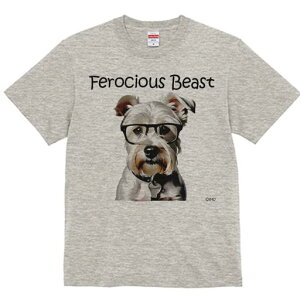 ~j`AViEU[ TVc  j[NfUCY LbY t@  t vg lJWA 킢 lԗp Mtg I ҏ΍ Kl ~j`AViEU