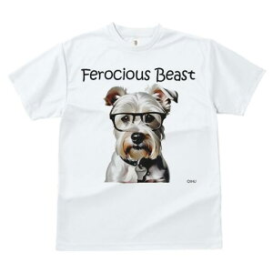 ~j`AViEU[ TVc  j[NfUCY LbY t@  t vg lJWA 킢 lԗp Mtg I ҏ΍ Kl ~j`AViEU