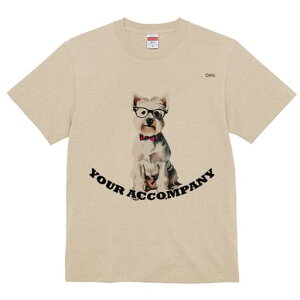 ~j`AViEU[ TVc  j[NfUCfB[X t@  t vg lJWA 킢 lԗp Mtg I ҏ΍ Kl ~j`AViEU[ 