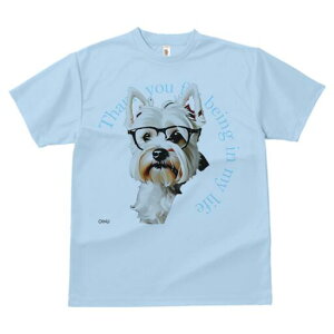 EGXgnChzCgeA TVc  j[NfUCfB[X t@  t vg lJWA 킢 lԗp Mtg I ҏ΍ Kl EGXgnC