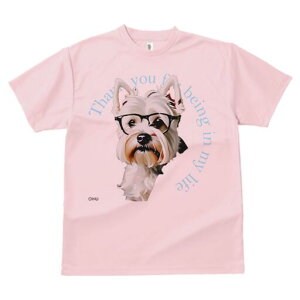 EGXgnChzCgeA TVc  j[NfUCfB[X t@  t vg lJWA 킢 lԗp Mtg I ҏ΍ Kl EGXgnC