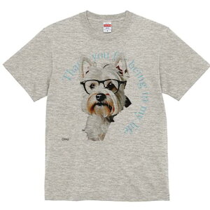 EGXgnChzCgeA TVc  j[NfUCfB[X t@  t vg lJWA 킢 lԗp Mtg I ҏ΍ Kl EGXgnC