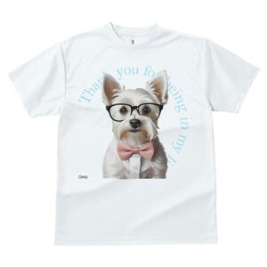 EGXgnChzCgeA TVc  j[NfUCfB[X t@  t vg lJWA 킢 lԗp Mtg I ҏ΍ lN^C EGXgn