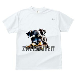 ~j`AViEU[ TVc  j[NfUCfB[X t@  t vg lJWA 킢 lԗp Mtg I ҏ΍ ~j`AViEU[