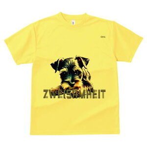 ~j`AViEU[ TVc  j[NfUCfB[X t@  t vg lJWA 킢 lԗp Mtg I ҏ΍ ~j`AViEU[