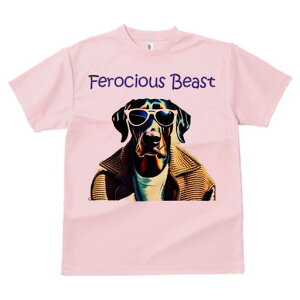 h[x} TVc  j[NfUCfB[X t@  t vg lJWA 킢 lԗp Mtg I ҏ΍ TOX h[x} WPbg Z[^