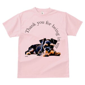 ~j`AViEU[ TVc  j[NfUCfB[X t@  t vg lJWA 킢 lԗp Mtg I ҏ΍ ~j`AViEU[