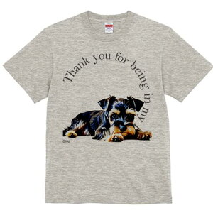 ~j`AViEU[ TVc  j[NfUCfB[X t@  t vg lJWA 킢 lԗp Mtg I ҏ΍ ~j`AViEU[