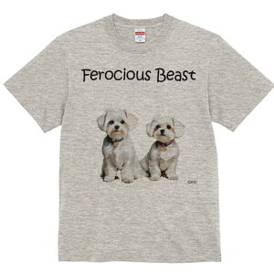 }`[Y TVc  j[NfUCfB[X t@  t vg lJWA 킢 lԗp Mtg I ҏ΍ }`[Y