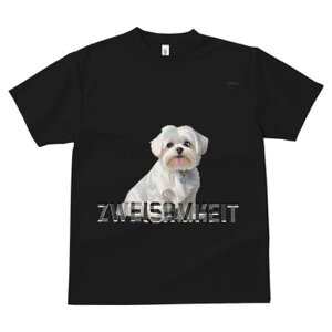 }`[Y TVc  j[NfUCfB[X t@  t vg lJWA 킢 lԗp Mtg I ҏ΍ }`[Y