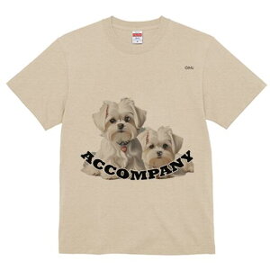 }`[Y TVc  j[NfUCfB[X t@  t vg lJWA 킢 lԗp Mtg I ҏ΍ }`[Y