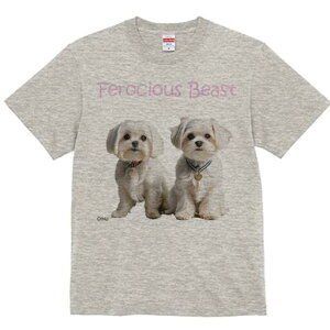 }`[Y TVc  j[NfUCfB[X t@  t vg lJWA 킢 lԗp Mtg I ҏ΍ }`[Y