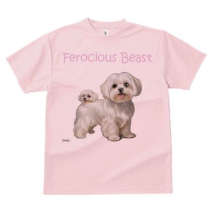 }`[Y TVc  j[NfUCfB[X t@  t vg lJWA 킢 lԗp Mtg I ҏ΍ }`[Y