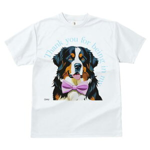 o[j[Y}EehbO TVc  j[NfUCfB[X t@  t vg lJWA 킢 lԗp Mtg I ҏ΍ lN^C o[j[Y}E