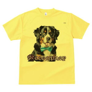 o[j[Y}EehbO TVc  j[NfUCfB[X t@  t vg lJWA 킢 lԗp Mtg I ҏ΍ Kl o[j[Y}Ee