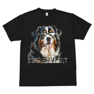 o[j[Y}EehbO TVc  j[NfUCY LbY t@  t vg lJWA 킢 lԗp Mtg I ҏ΍ Kl o[j[Y}E