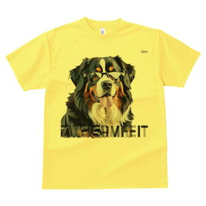 o[j[Y}EehbO TVc  j[NfUCfB[X t@  t vg lJWA 킢 lԗp Mtg I ҏ΍ Kl o[j[Y}Ee