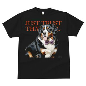 o[j[Y}EehbO TVc  j[NfUCfB[X t@  t vg lJWA 킢 lԗp Mtg I ҏ΍ lN^C o[j[Y}E