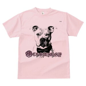 AJsbgueA TVc  j[NfUCfB[X t@  t vg lJWA 킢 lԗp Mtg I ҏ΍ lN^C AJsbg