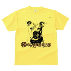 AJsbgueA TVc  j[NfUCfB[X t@  t vg lJWA 킢 lԗp Mtg I ҏ΍ lN^C AJsbg