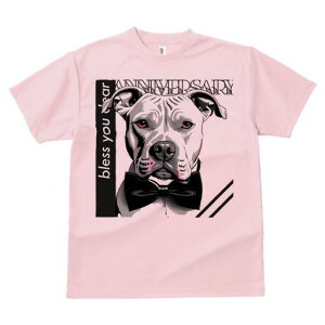 AJsbgueA TVc  j[NfUCfB[X t@  t vg lJWA 킢 lԗp Mtg I ҏ΍ lN^C AJsbg