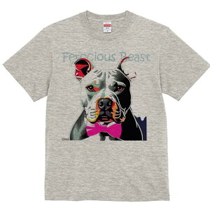 AJsbgueA TVc  j[NfUCfB[X t@  t vg lJWA 킢 lԗp Mtg I ҏ΍ lN^C AJsbg