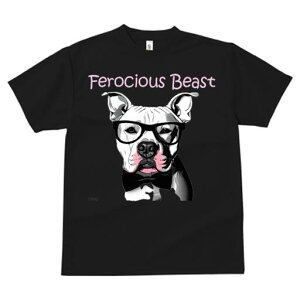 AJsbgueA TVc  j[NfUCY LbY t@  t vg lJWA 킢 lԗp Mtg I ҏ΍ Kl AJsbg