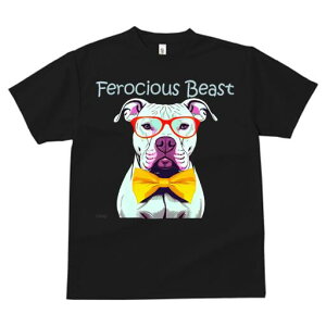 AJsbgueA TVc  j[NfUCY LbY t@  t vg lJWA 킢 lԗp Mtg I ҏ΍ Kl AJsbg