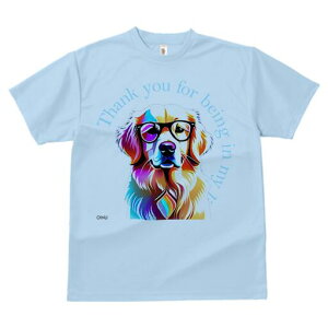 S[fgo[ TVc  j[NfUCfB[X t@  t vg lJWA 킢 lԗp Mtg I ҏ΍ Kl S[fgo[