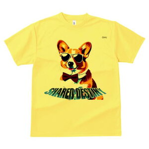 R[M[ TVc  j[NfUCfB[X t@  t vg lJWA 킢 lԗp Mtg I ҏ΍ TOX R[M[ lN^C