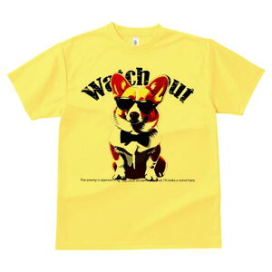 R[M[ TVc  j[NfUCfB[X t@  t vg lJWA 킢 lԗp Mtg I ҏ΍ TOX R[M[ lN^C