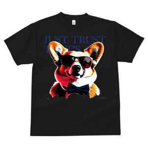 R[M[ TVc  j[NfUCfB[X t@  t vg lJWA 킢 lԗp Mtg I ҏ΍ TOX R[M[ lN^C