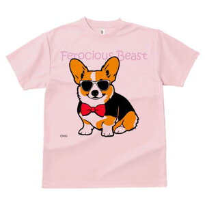 R[M[ TVc  j[NfUCfB[X t@  t vg lJWA 킢 lԗp Mtg I ҏ΍ TOX R[M[ lN^C