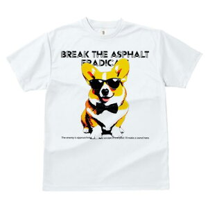 R[M[ TVc  j[NfUCfB[X t@  t vg lJWA 킢 lԗp Mtg I ҏ΍ TOX R[M[ lN^C