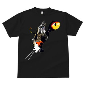 TVc  j[NfUCfB[X t@  t vg lJWA 킢 lԗp Mtg I ҏ΍ L  