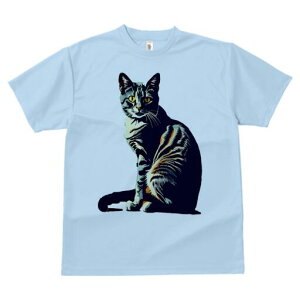 TVc  j[NfUCfB[X t@  t vg lJWA 킢 lԗp Mtg I ҏ΍ L ybg 