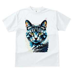 TVc  j[NfUCfB[X t@  t vg lJWA 킢 lԗp Mtg I ҏ΍ L ybg  A[g |bvA[g