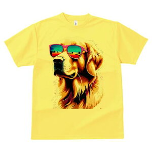 �S�[���f�����g���o�[ T�V���c ���� ���j�[�N�f�U�C�����f�B�[�X ���t�@�� ���� �t�� �v�����g ��l�J�W���A�� ���킢�� �l�ԗp �M�t�g ���I �ҏ��΍� �T���O���X �S�[���f�����g���o�[ 