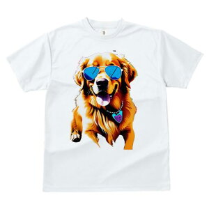 S[fgo[ TVc  j[NfUCfB[X t@  t vg lJWA 킢 lԗp Mtg I ҏ΍ TOX S[fgo[ 