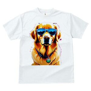 S[fgo[ TVc  j[NfUCfB[X t@  t vg lJWA 킢 lԗp Mtg I ҏ΍ TOX S[fgo[ 